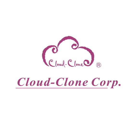 Cloud-Clone