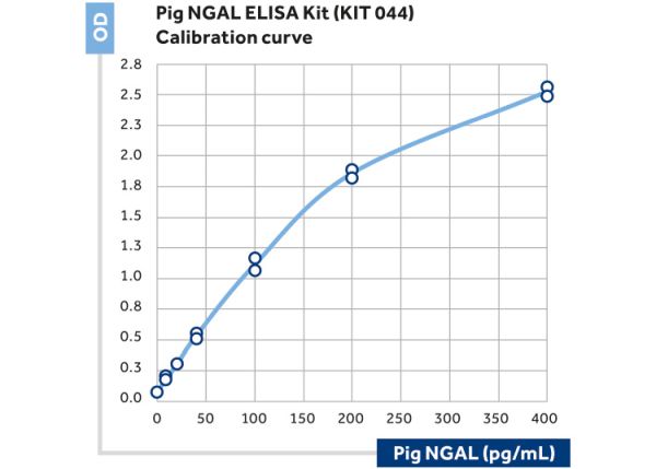 NGAL (LCN2) ELISA Kit (Swine), RUO (96 tests)