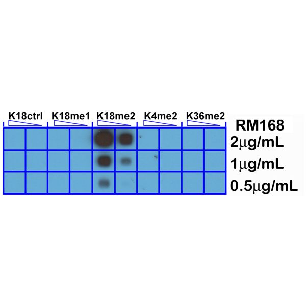 Fig-1_RM168