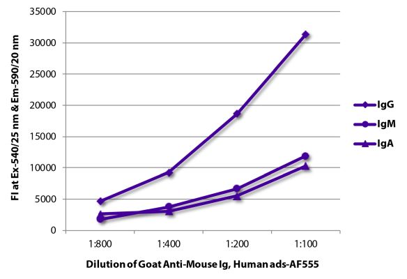 Abbildung: Ziege IgG anti-Maus IgG+IgM+IgA (H+L)-Alexa Fluor 555, MinX Hu