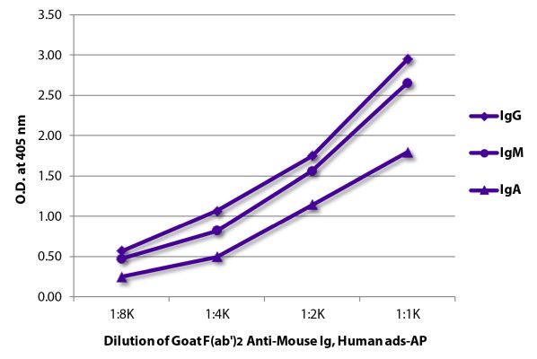 Abbildung: Ziege F(ab')2 anti-Maus IgG+IgM+IgA (H+L)-Alk. Phos., MinX Hu
