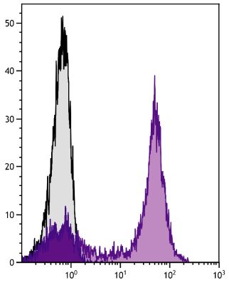 Abbildung: Ziege F(ab')2 anti-Maus IgG+IgM+IgA (H+L)-Alexa Fluor 488, MinX Hu