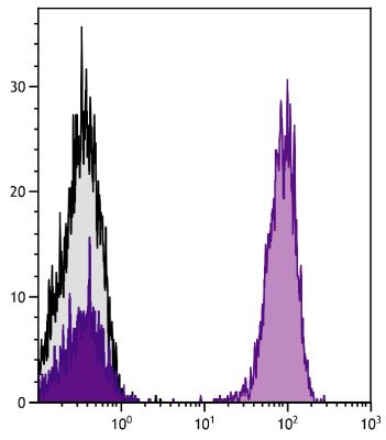 Abbildung: Ziege F(ab')2 anti-Maus IgG+IgM+IgA (H+L)-Alexa Fluor 647, MinX Hu