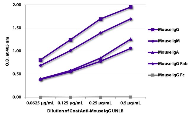 Image: Goat IgG anti-Mouse IgG (F(ab')2)-unconj., MinX none