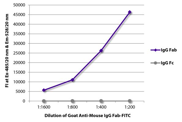 Abbildung: Ziege IgG anti-Maus IgG (F(ab')2)-FITC, MinX keine