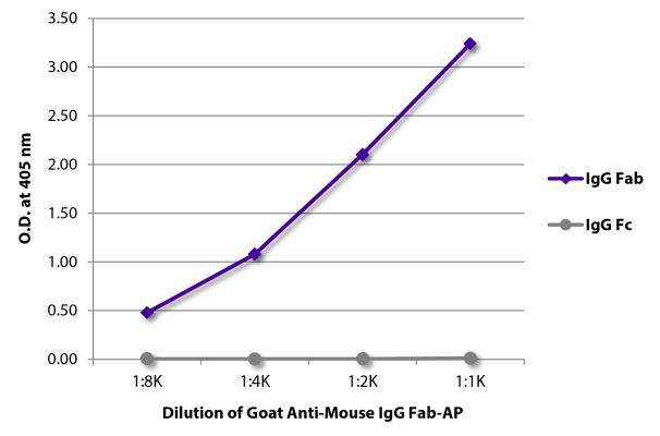 Abbildung: Ziege IgG anti-Maus IgG (F(ab')2)-Alk. Phos., MinX keine