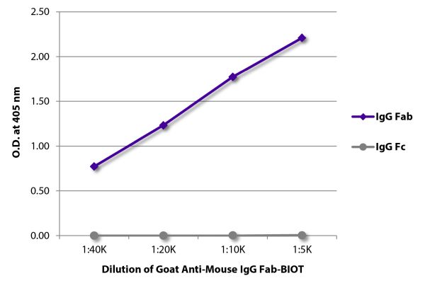 Abbildung: Ziege IgG anti-Maus IgG (F(ab')2)-Biotin, MinX keine