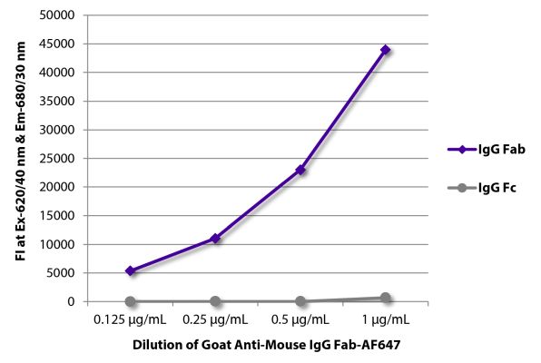 Abbildung: Ziege IgG anti-Maus IgG (F(ab')2)-Alexa Fluor 647, MinX keine
