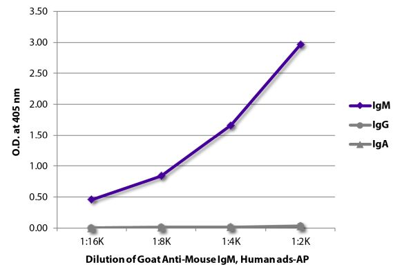 Abbildung: Ziege IgG anti-Maus IgM (µ)-Alk. Phos., MinX Hu