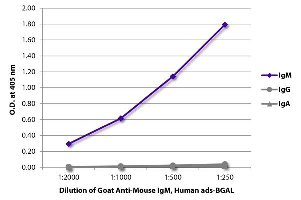 Image: Goat IgG anti-Mouse IgM (µ)-BGAL, MinX Hu