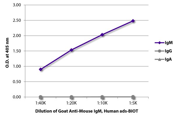 Abbildung: Ziege IgG anti-Maus IgM (µ)-Biotin, MinX Hu