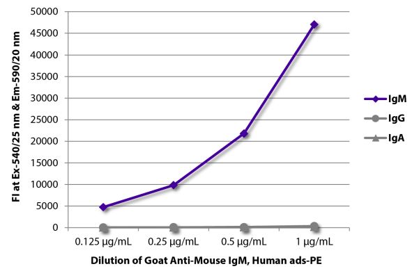 Abbildung: Ziege IgG anti-Maus IgM (µ)-RPE, MinX Hu