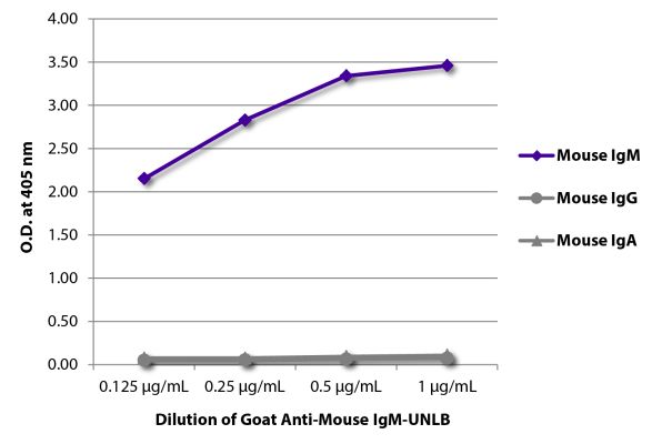 Abbildung: Ziege IgG anti-Maus IgM (µ)-unkonj., MinX keine