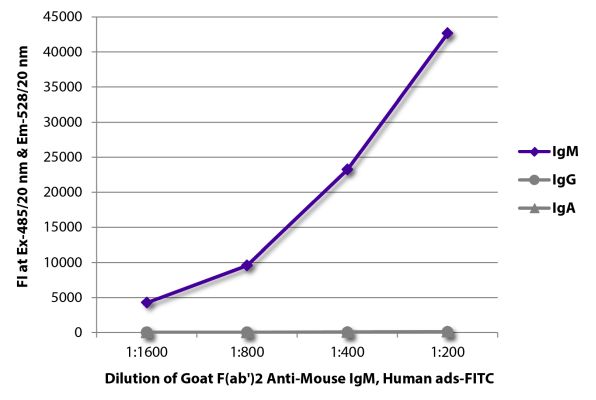 Abbildung: Ziege F(ab')2 anti-Maus IgM (µ)-FITC, MinX Hu
