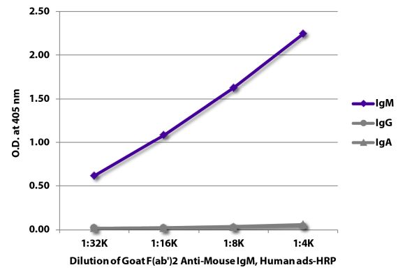 Abbildung: Ziege F(ab')2 anti-Maus IgM (µ)-HRPO, MinX Hu