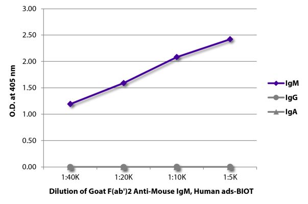 Image: Goat F(ab')2 anti-Mouse IgM (µ)-Biotin, MinX Hu