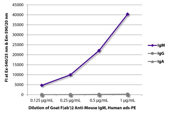 Image: Goat F(ab')2 anti-Mouse IgM (µ)-RPE, MinX Hu