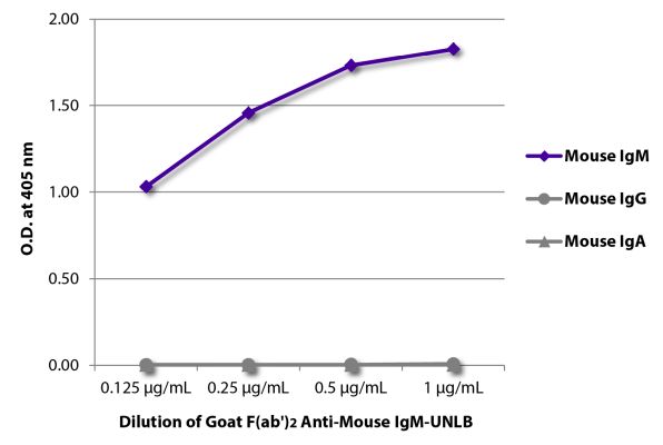 Abbildung: Ziege F(ab')2 anti-Maus IgM (µ)-unkonj., MinX keine