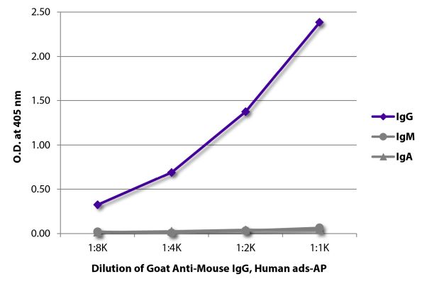 Image: Goat IgG anti-Mouse IgG (Fc)-Alk. Phos., MinX Hu