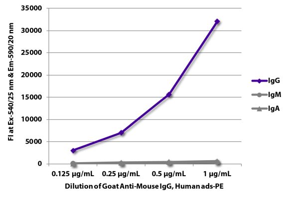 Abbildung: Ziege IgG anti-Maus IgG (Fc)-RPE, MinX Hu