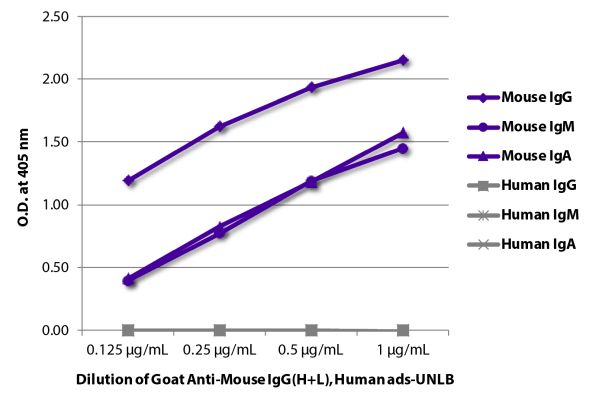 Abbildung: Ziege IgG anti-Maus IgG (H+L)-unkonj., MinX Hu