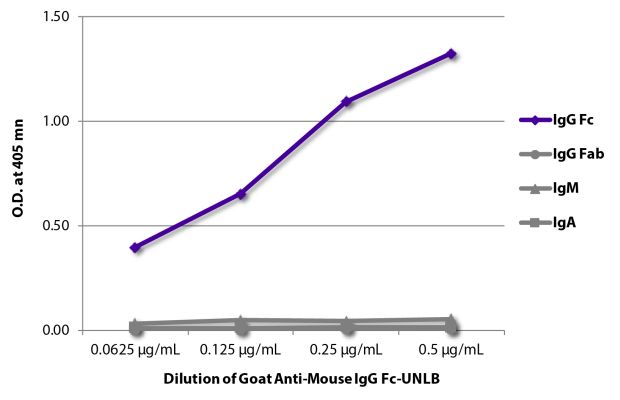 Abbildung: Ziege IgG anti-Maus IgG (Fc)-unkonj., MinX keine