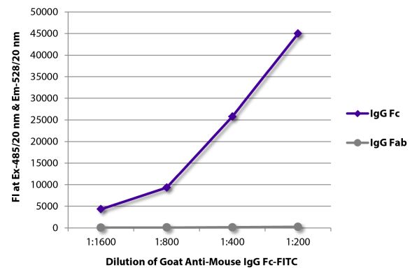 Image: Goat IgG anti-Mouse IgG (Fc)-FITC, MinX none