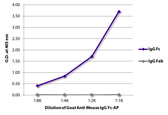 Abbildung: Ziege IgG anti-Maus IgG (Fc)-Alk. Phos., MinX keine