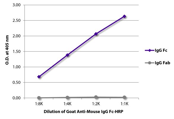 Abbildung: Ziege IgG anti-Maus IgG (Fc)-HRPO, MinX keine