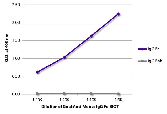 Abbildung: Ziege IgG anti-Maus IgG (Fc)-Biotin, MinX keine