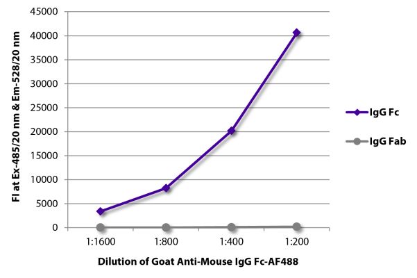 Image: Goat IgG anti-Mouse IgG (Fc)-Alexa Fluor 488, MinX none