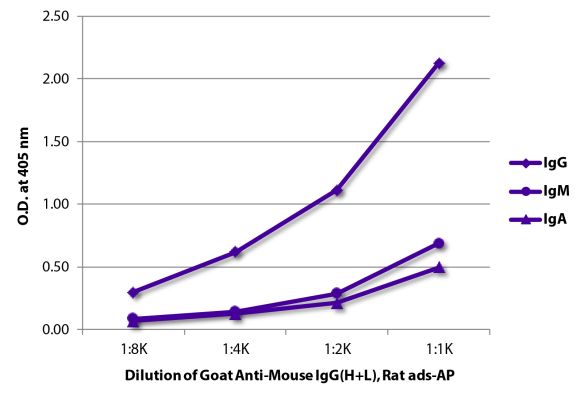 Abbildung: Ziege IgG anti-Maus IgG (H+L)-Alk. Phos., MinX Rt