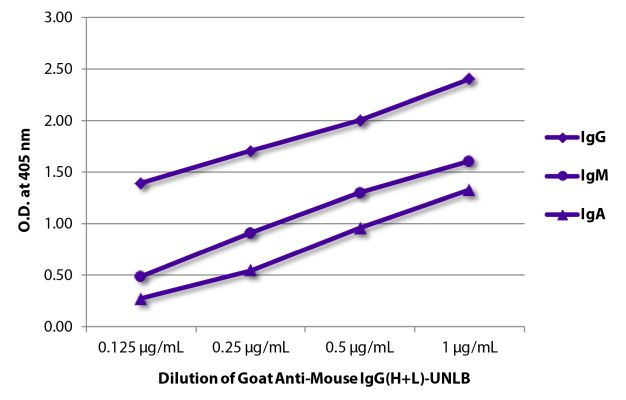 Abbildung: Ziege IgG anti-Maus IgG (H+L)-unkonj., MinX keine
