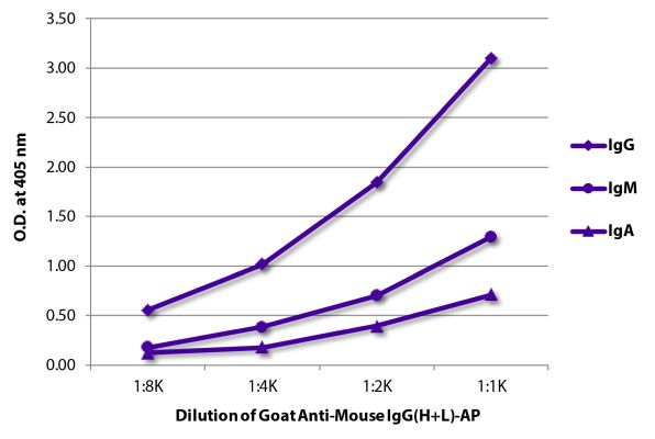 Abbildung: Ziege IgG anti-Maus IgG (H+L)-Alk. Phos., MinX keine