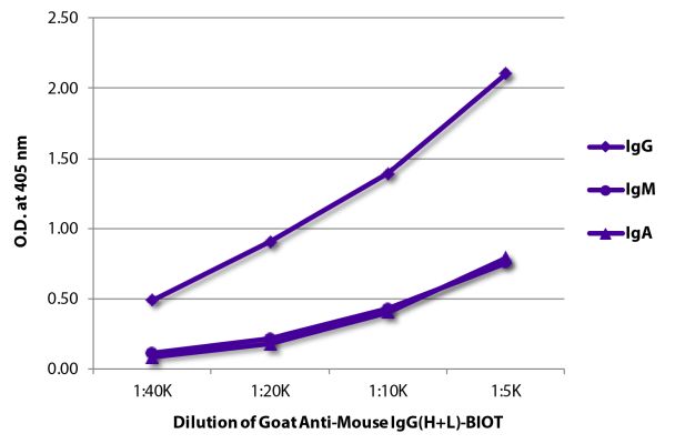 Image: Goat IgG anti-Mouse IgG (H+L)-Biotin, MinX none