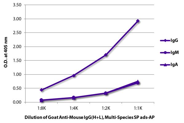 Abbildung: Ziege IgG anti-Maus IgG (H+L)-Alk. Phos., MinX Hu,Rt,Ha,Go,Sh,Rb,Ck,Gp,Ho,Bo