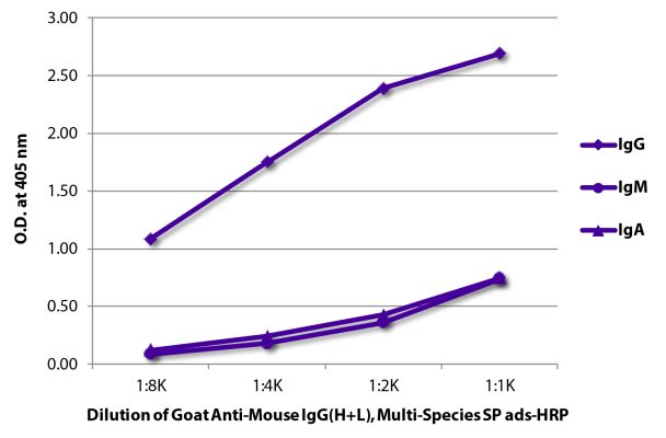 Image: Goat IgG anti-Mouse IgG (H+L)-HRPO, MinX Hu,Rt,Ha,Go,Sh,Rb,Ck,Gp,Ho,Bo
