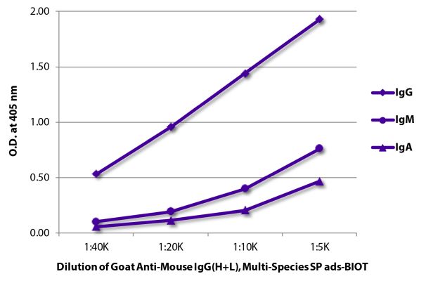 Image: Goat IgG anti-Mouse IgG (H+L)-Biotin, MinX Hu,Rt,Ha,Go,Sh,Rb,Ck,Gp,Ho,Bo