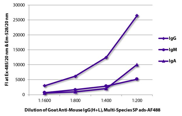 Abbildung: Ziege IgG anti-Maus IgG (H+L)-Alexa Fluor 488, MinX Hu,Rt,Ha,Go,Sh,Rb,Ck,Gp,Ho,Bo