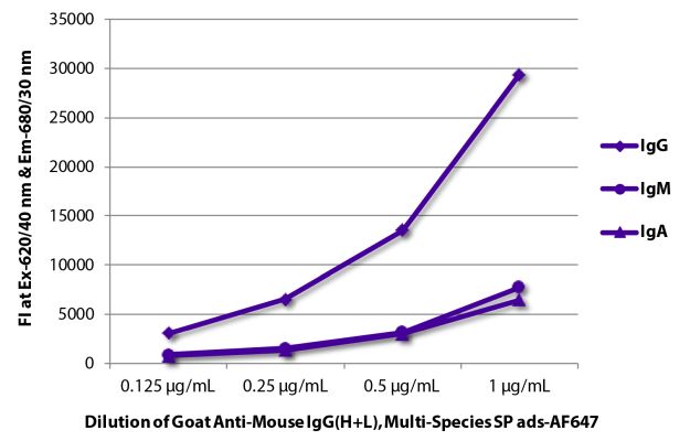 Abbildung: Ziege IgG anti-Maus IgG (H+L)-Alexa Fluor 647, MinX Hu,Rt,Ha,Go,Sh,Rb,Ck,Gp,Ho,Bo