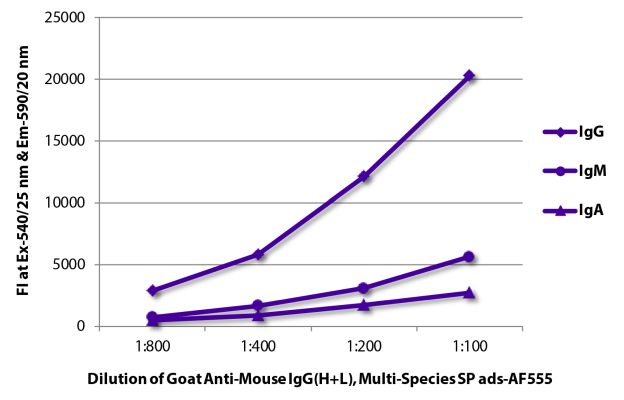 Image: Goat IgG anti-Mouse IgG (H+L)-Alexa Fluor 555, MinX Hu,Rt,Ha,Go,Sh,Rb,Ck,Gp,Ho,Bo