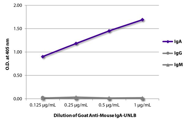 Abbildung: Ziege IgG anti-Maus IgA-unkonj., MinX keine