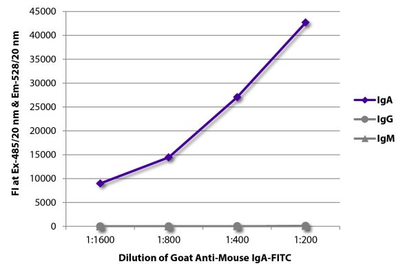 Abbildung: Ziege IgG anti-Maus IgA-FITC, MinX keine