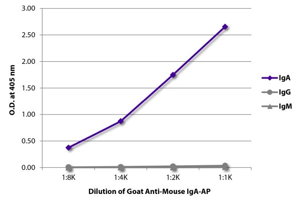 Abbildung: Ziege IgG anti-Maus IgA-Alk. Phos., MinX keine