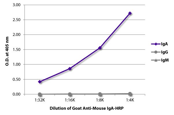 Abbildung: Ziege IgG anti-Maus IgA-HRPO, MinX keine