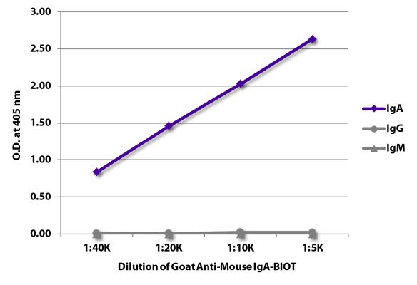 Abbildung: Ziege IgG anti-Maus IgA-Biotin, MinX keine