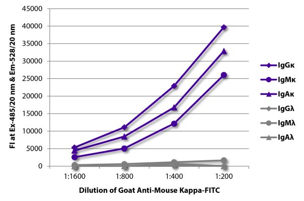 Abbildung: Ziege IgG anti-Maus Kappa (leichte Kette)-FITC, MinX keine