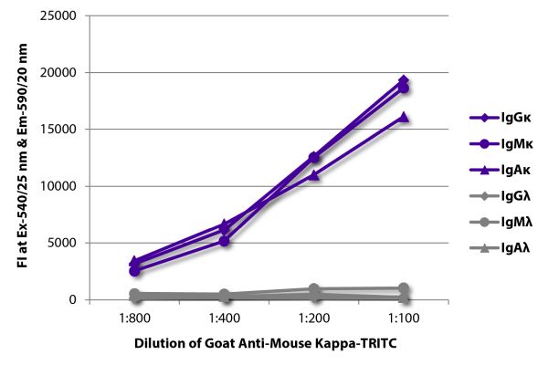 Abbildung: Ziege IgG anti-Maus Kappa (leichte Kette)-TRITC, MinX keine