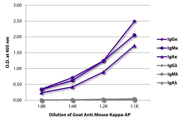 Image: Goat IgG anti-Mouse Kappa light chain-Alk. Phos., MinX none