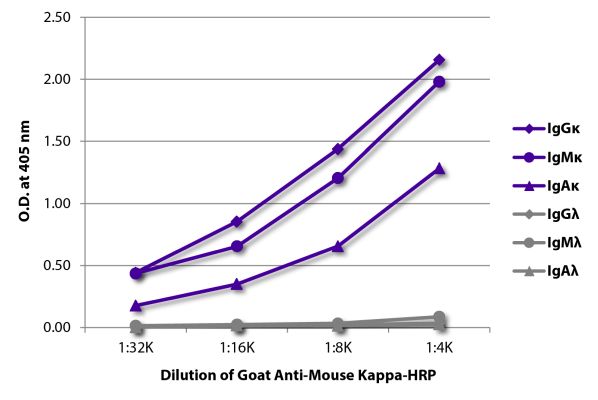 Abbildung: Ziege IgG anti-Maus Kappa (leichte Kette)-HRPO, MinX keine